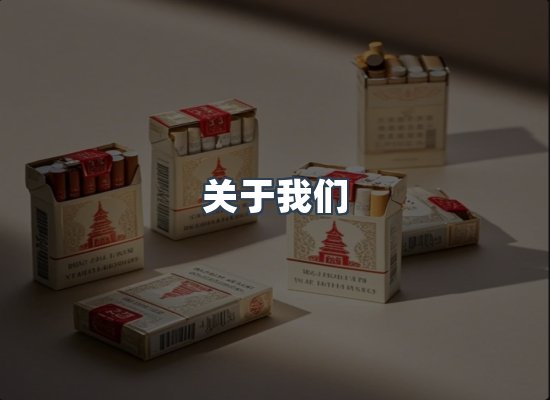 关于我们
